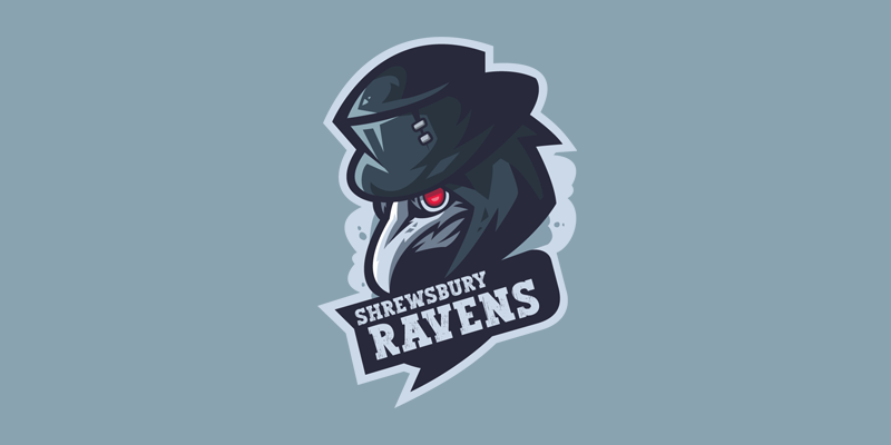 Ravens Team League Hoodie – TimberJacks Clubs Ltd